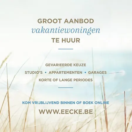 Vakantiestudio Op Zeedijk Gelijkvloers * ניופורט